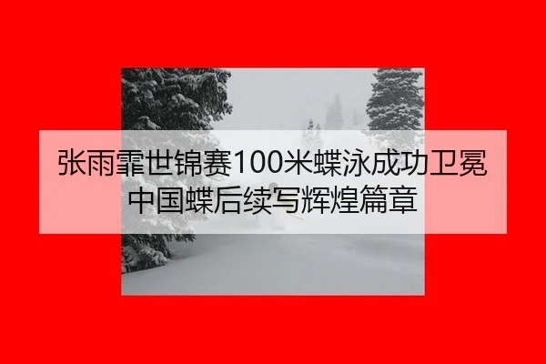 zhang-yu-fei-shi-jin-sai-mi-die-yong-cheng-gong-wei-mian-zhong-guo-die-hou-xu-xie-hui-huang-pian-zhang-2-136.jpg
